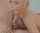 blowjob blonde big dick