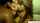 amateur sexy blow job