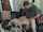 amateur teen sister
