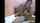 webcam cam girl blowjob