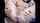 webcam amateur teen