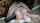 hardcore blonde bbc