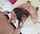 brazzers blowjob deepthroat