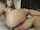 cam camgirl amateur