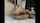 cam camgirl amateur