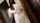 webcam teen strip