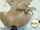 mother camgirl dildo