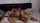 black lesbian cam girl