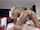 chaturbate cam anal