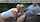 milf mom blowjob