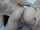 camgirl masturbation spit