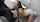 snowbunny interracial white girl