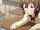hentai gagged ahegao
