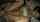 teen recently deleted xvideos