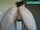teenager butt webcam