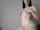 amateur big butt webcams