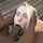 interracial blonde bbc