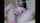 camgirl latina squirt