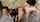 joi brazzers kotchen