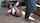 school creampie schoolgirl