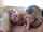 amateur teen blonde