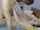 cam camgirl amateur