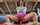 ebony reverse cowgirl straight