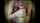 camgirl amateur blowjob
