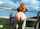 redhead big ass outside