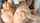 teen redhead masturbation