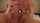 amateur blowjob go pro