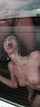 amateur cumshot hardcore