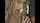 blonde teen blowjob