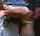 amateur porn ad petite
