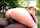pawg big ass fat ass