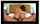 anal cowgirl bed