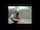 sex pussy rain