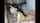 camgirl latina deepthroat