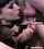 femdom handjob brunette