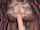 anal amateur dildo