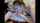 teens lesbian webcam