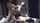 threesome mfm cuckold