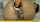 gape funny big gape