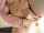 teen webcam squirt
