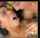 lesbian squirt gym