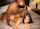 big ass camgirl big tits