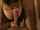 blowjob handjob pov