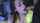 blowjob brunette deepthroat