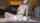 camgirl amateur masturbating