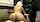 blond milf big ass